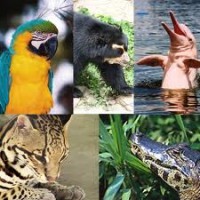 /album/fotogaleria/images-9-jpg/